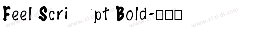 Feel Script Bold字体转换